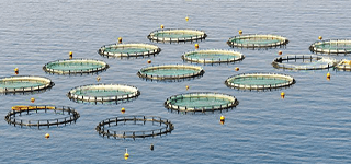 智慧渔业养殖管理系统