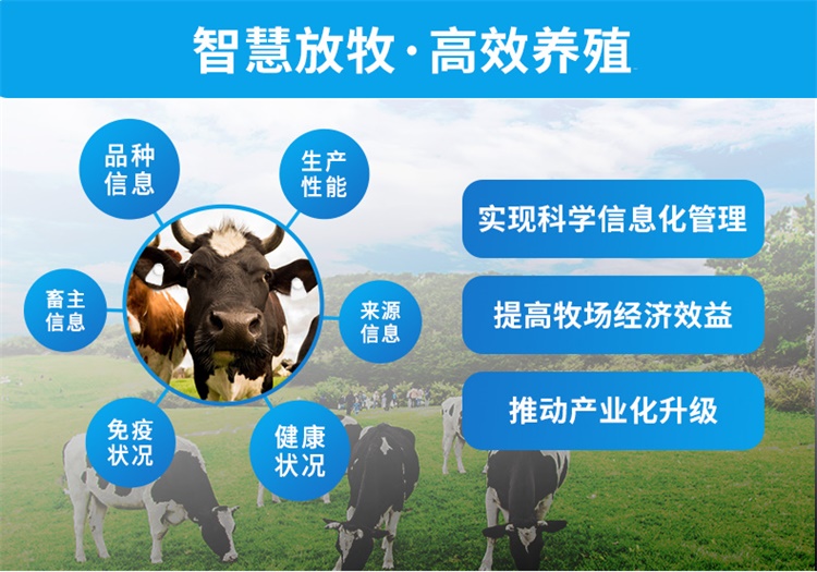 育肥牛养殖管理系统设计